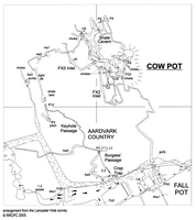 RRCPC J10 Cow Pot - Aardvark Country